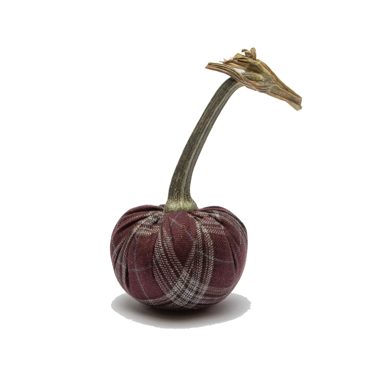 Tiny Tartan
