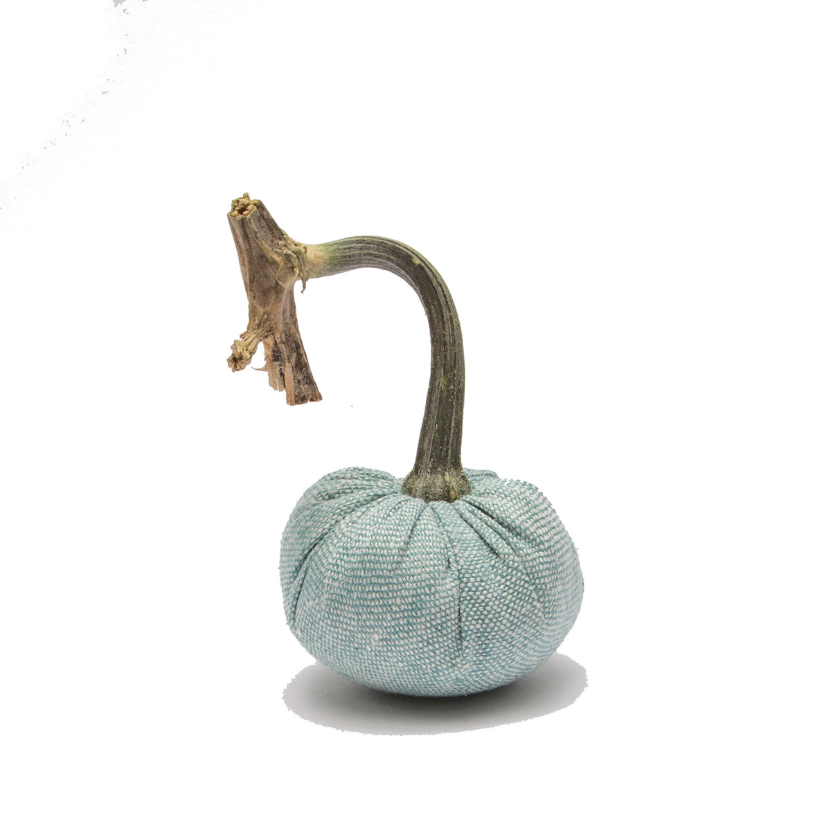 Tiny Turquoise