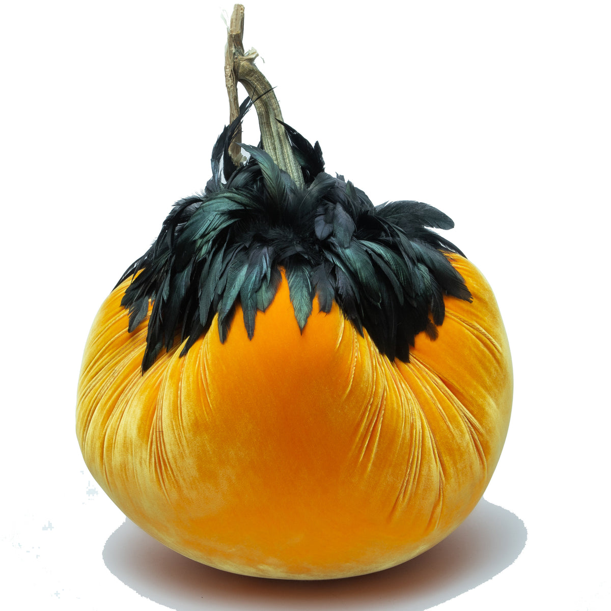 Final LE (13&quot;-14&quot;) Carrot with Ebony Feather Collar