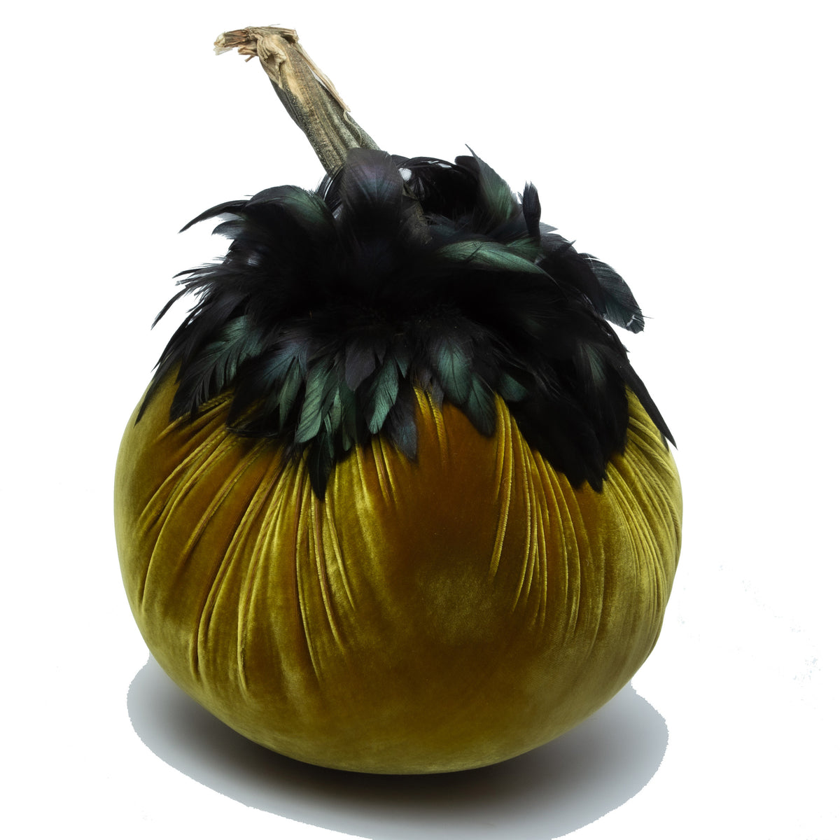 Final Jumbo (12&quot;) Cactus with Ebony Feather Collar