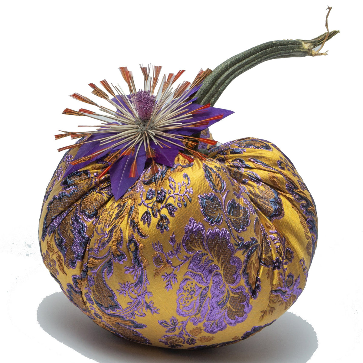 Cora