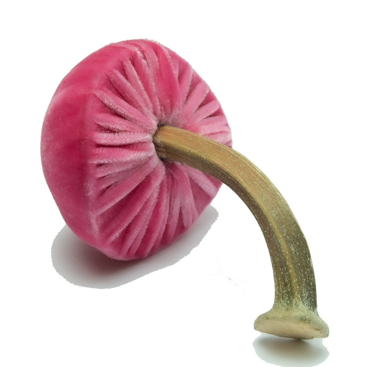 Mini Silk Velvet Bubblegum Mushroom