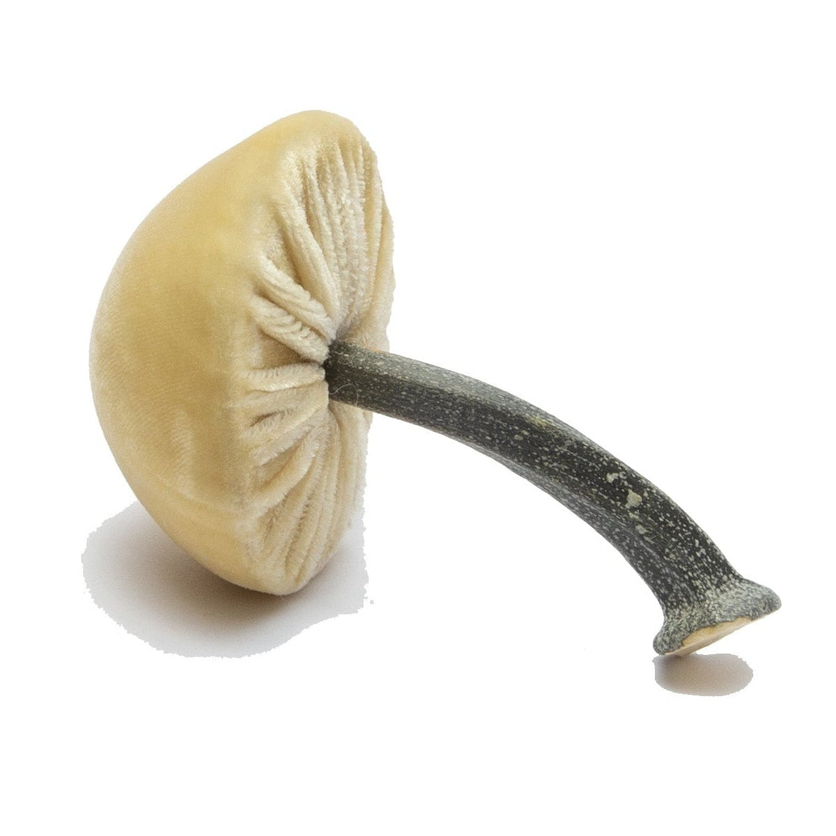 Mini Silk Velvet Husk Mushroom