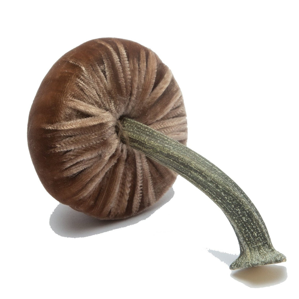 Mini Silk Velvet Mocha Mushroom