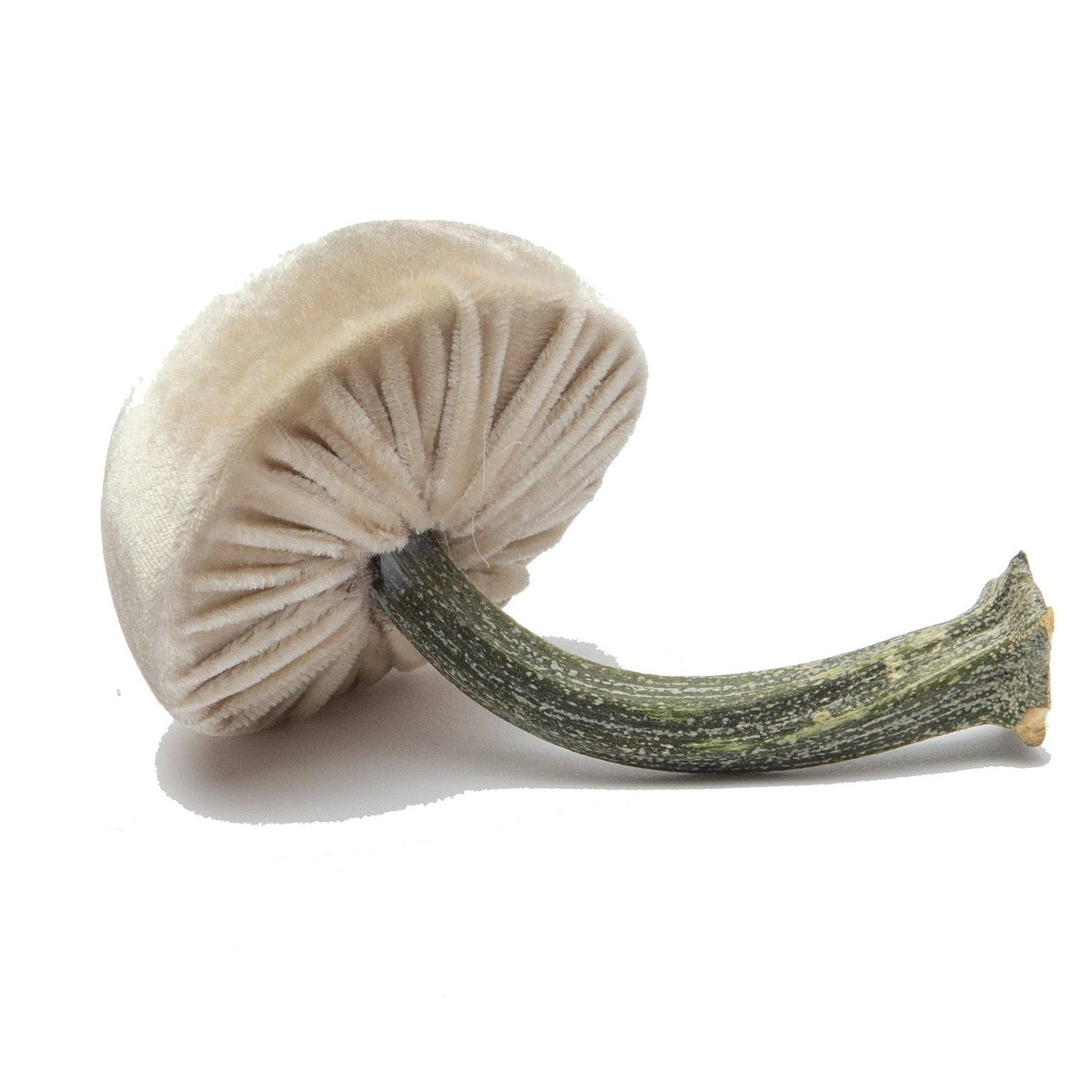 Mini Silk Velvet Cream Mushroom