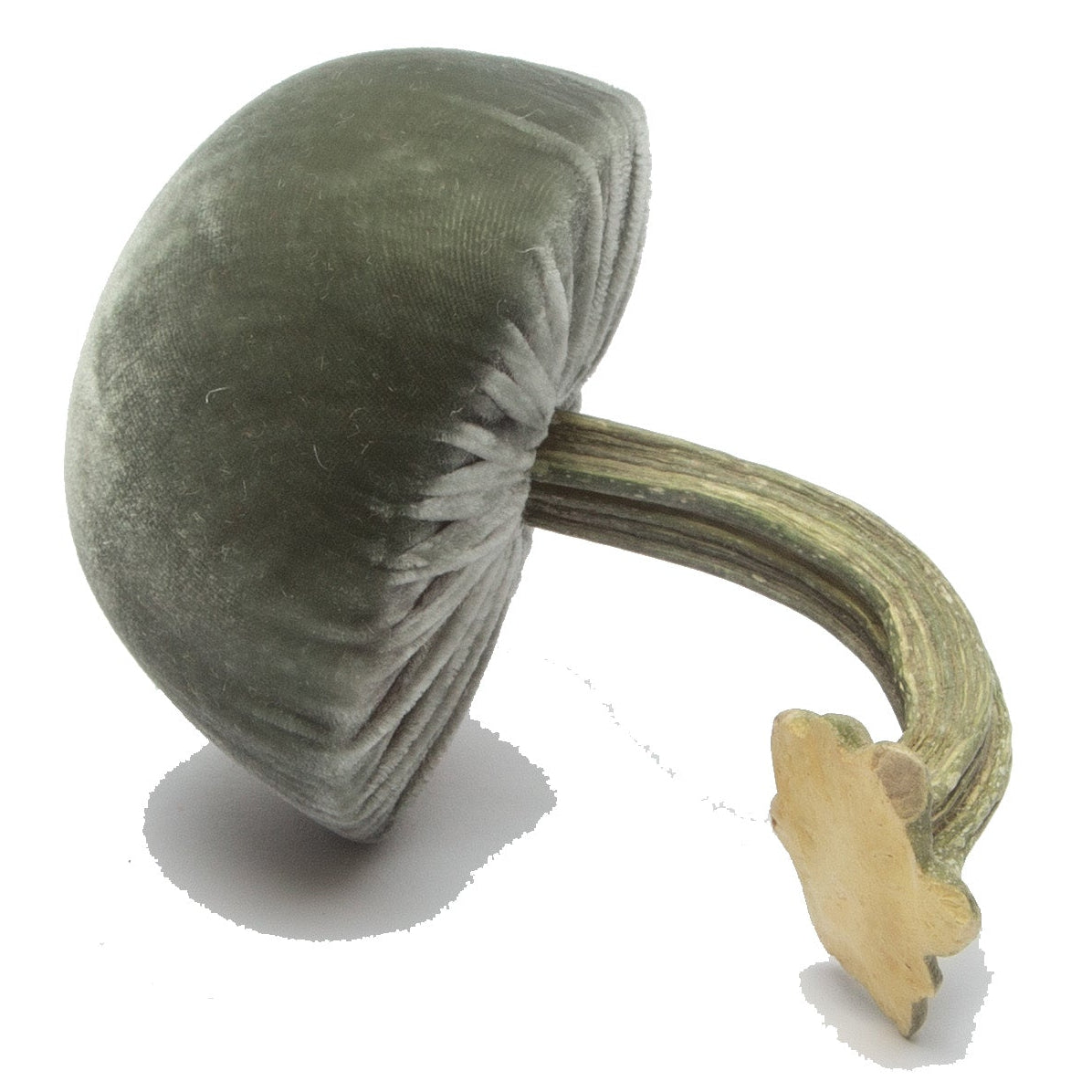 Small Willow Mushrooms