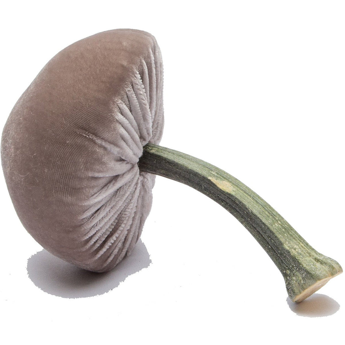 Small Putty Mushroom