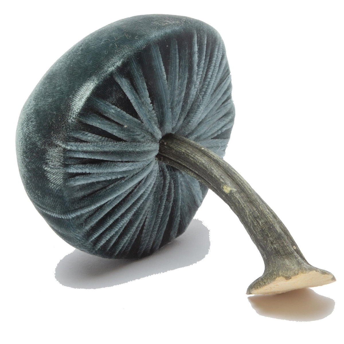 Small Wedgewood Mushrooms