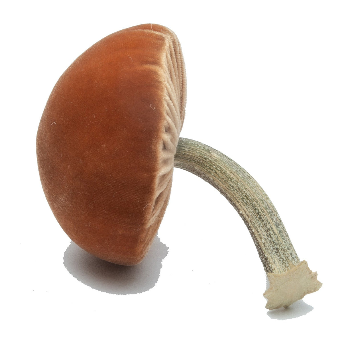 Small Spice Mushrooms