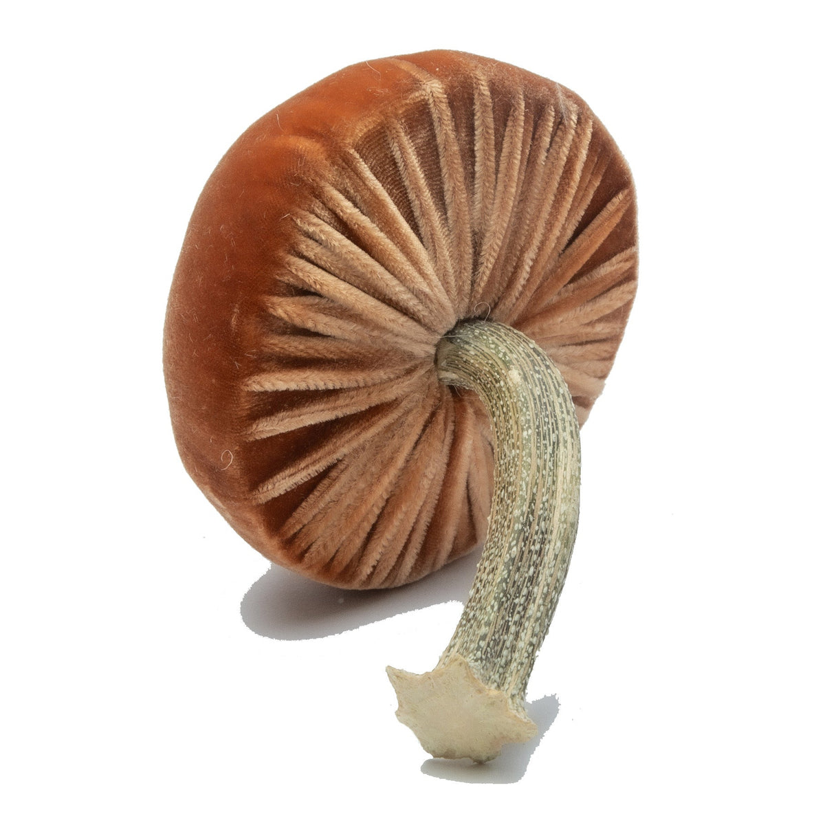 Small Spice Mushrooms