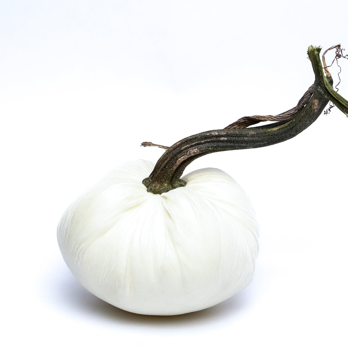 Ivory Silk Velvet Pumpkin