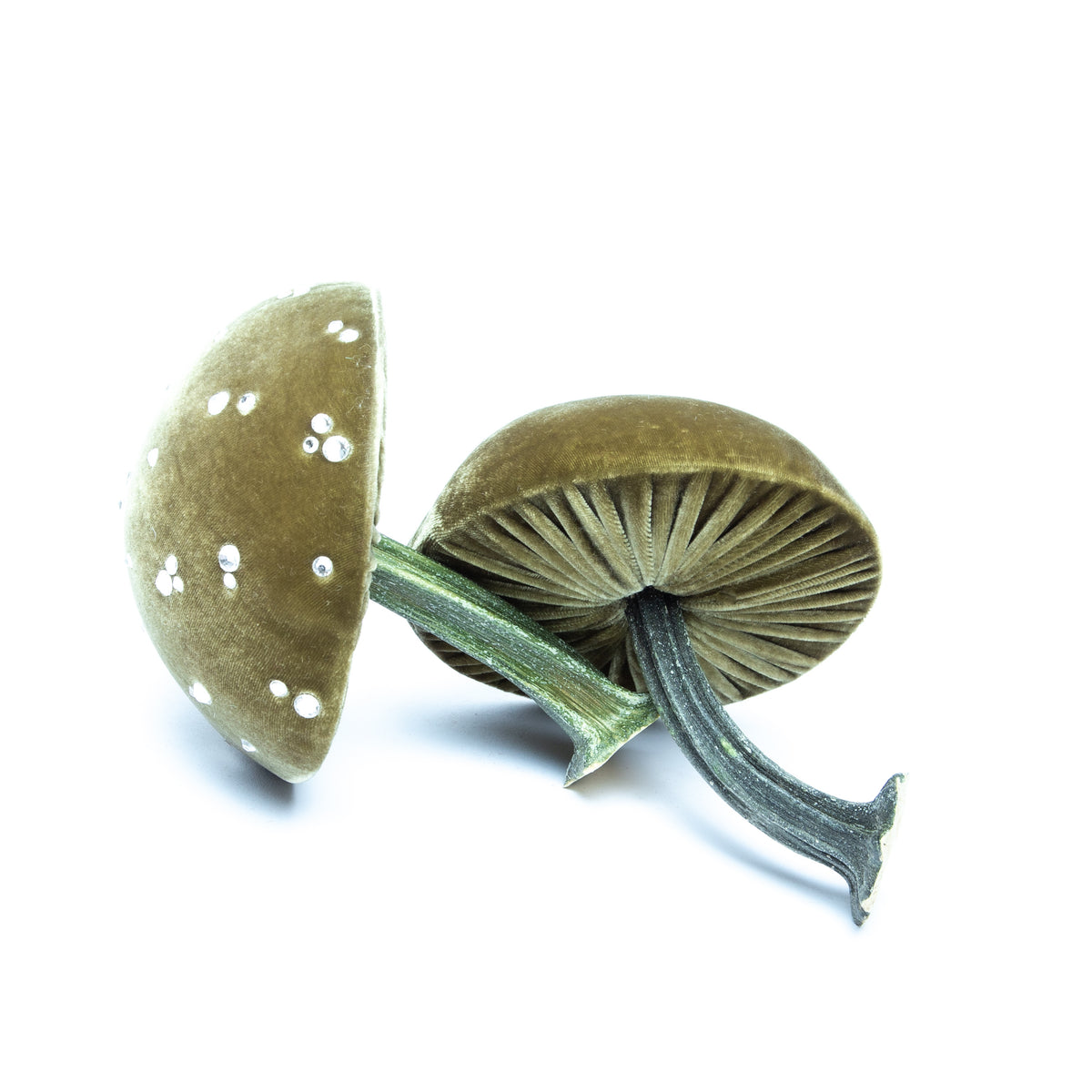 Small CeleryMushrooms