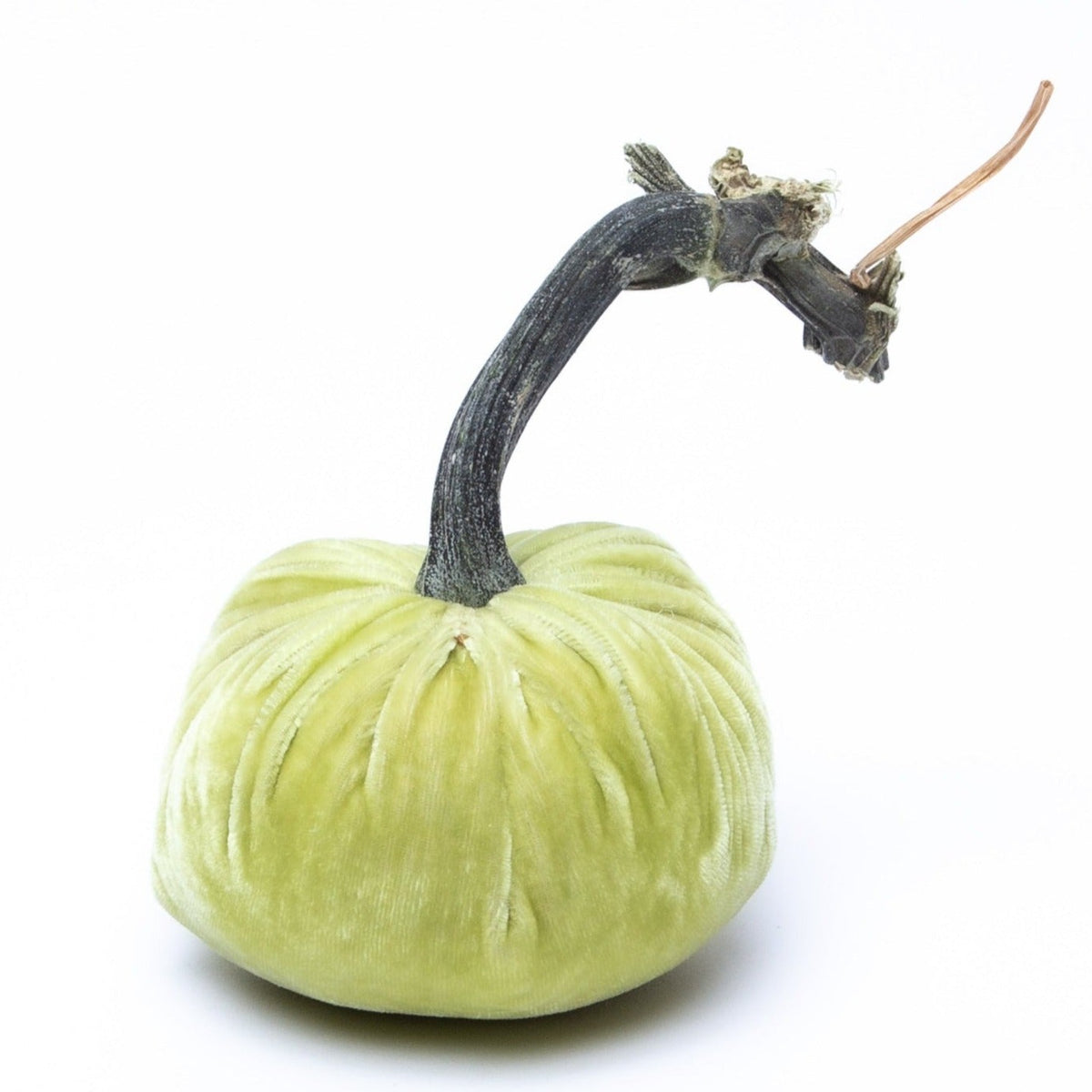 NEW Pistachio Silk Velvet Pumpkin