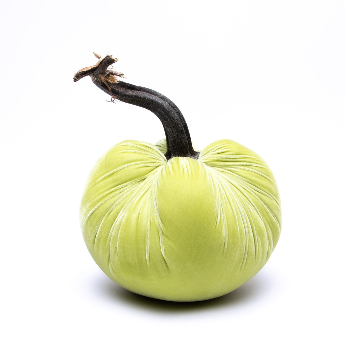 NEW Pistachio Silk Velvet Pumpkin