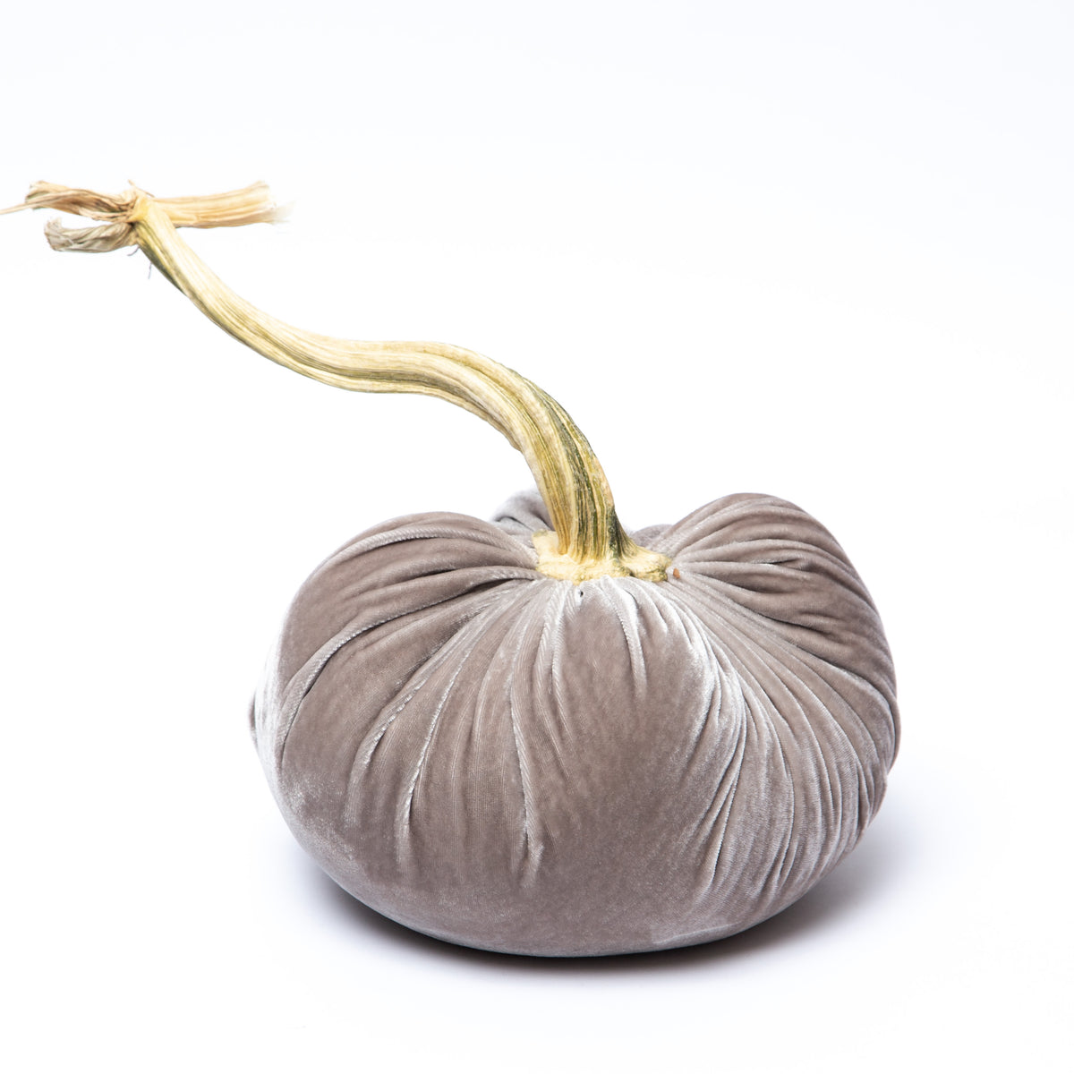 Putty Silk Velvet Pumpkin