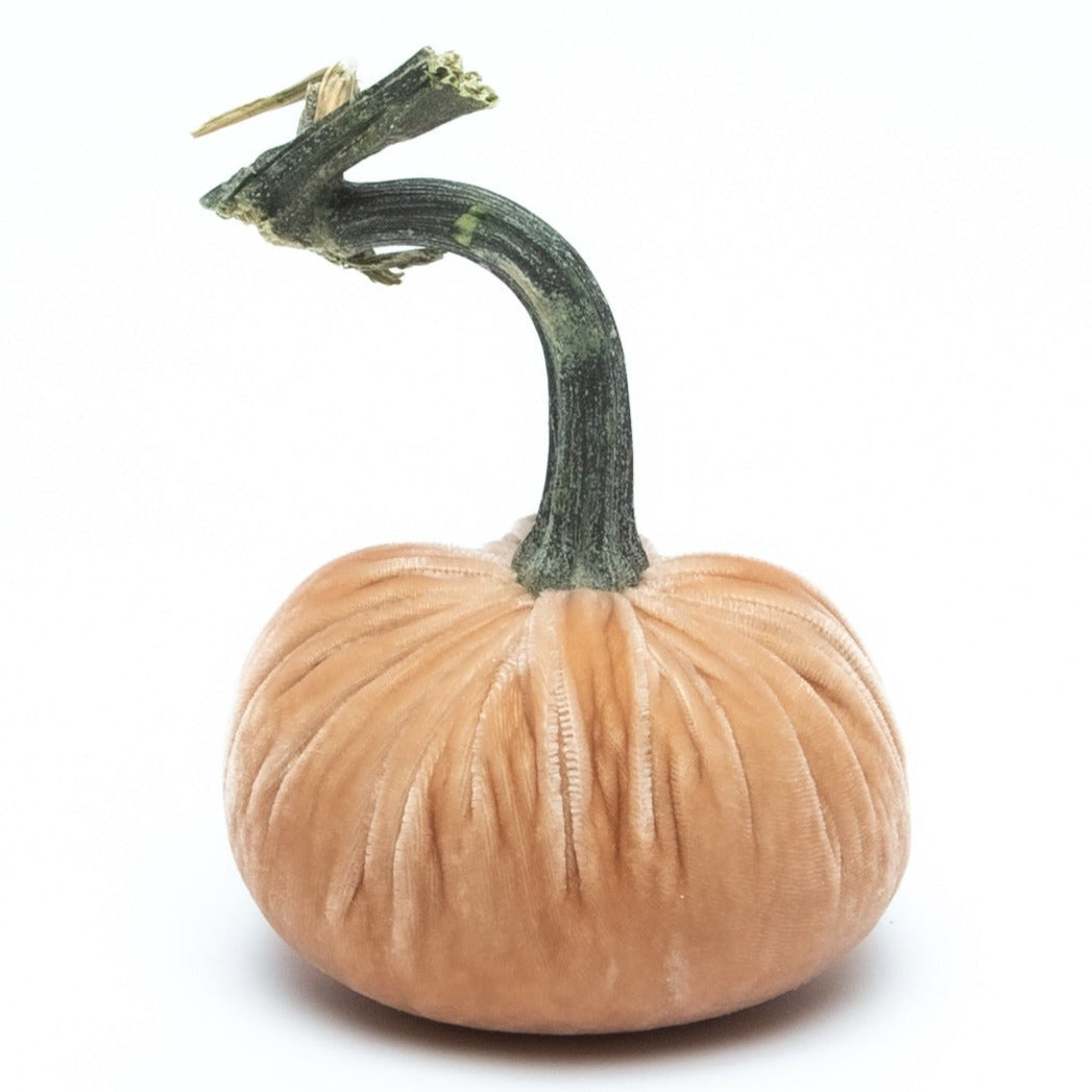 NEW Sandstone Silk Velvet Pumpkin