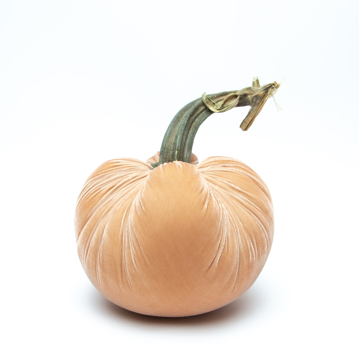 NEW Sandstone Silk Velvet Pumpkin