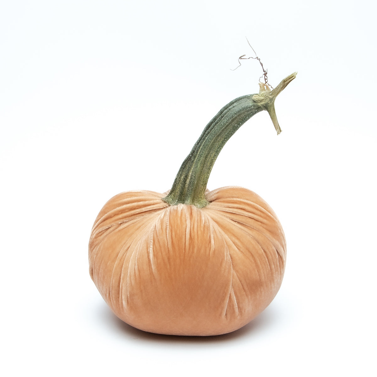 NEW Sandstone Silk Velvet Pumpkin