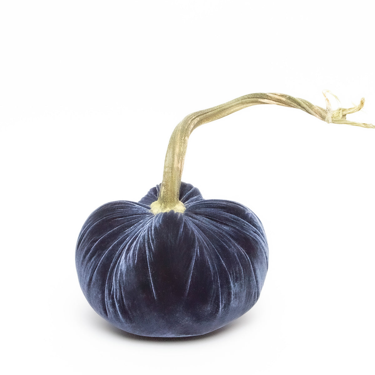 Sapphire Silk Velvet Pumpkin