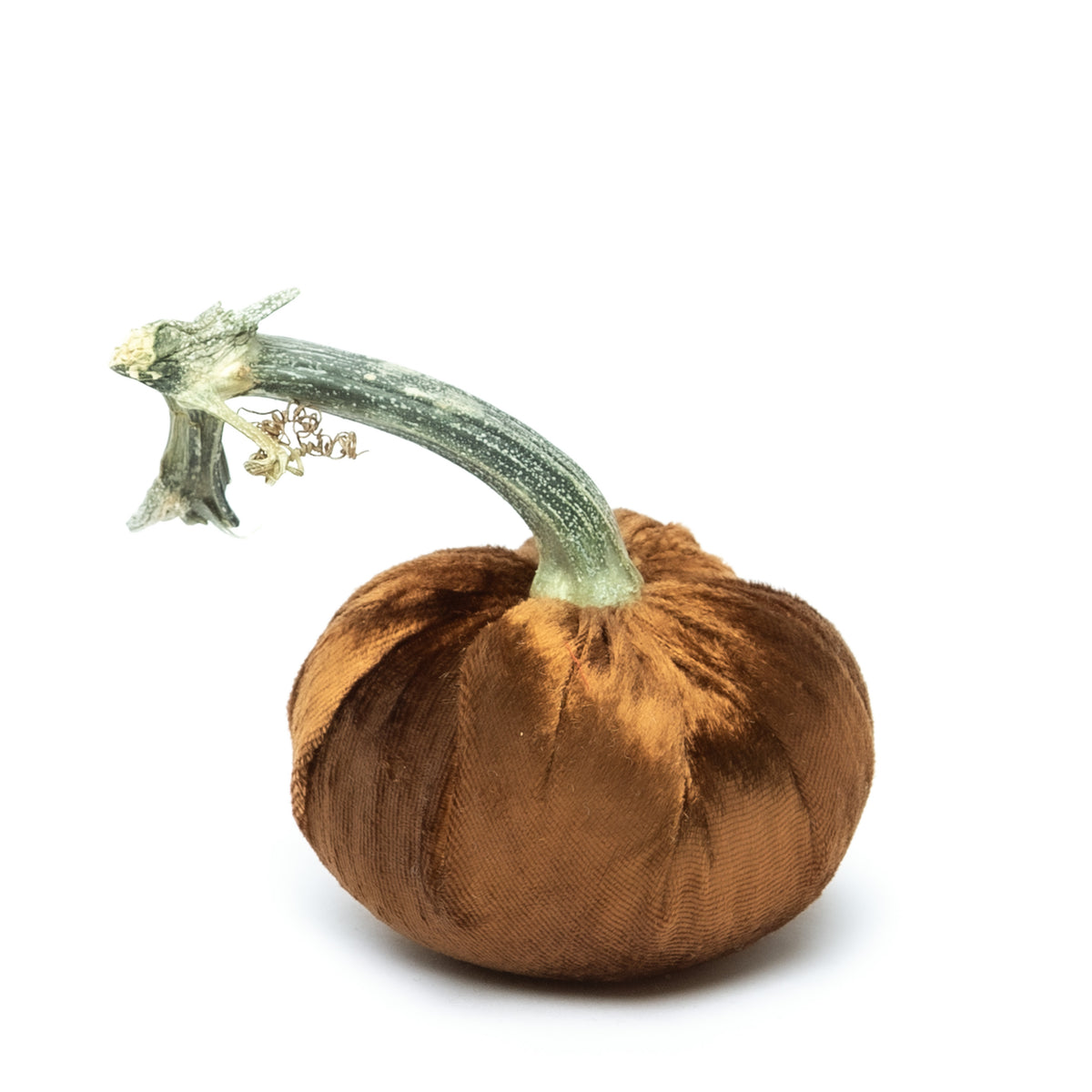Topaz Silk Velvet Pumpkin