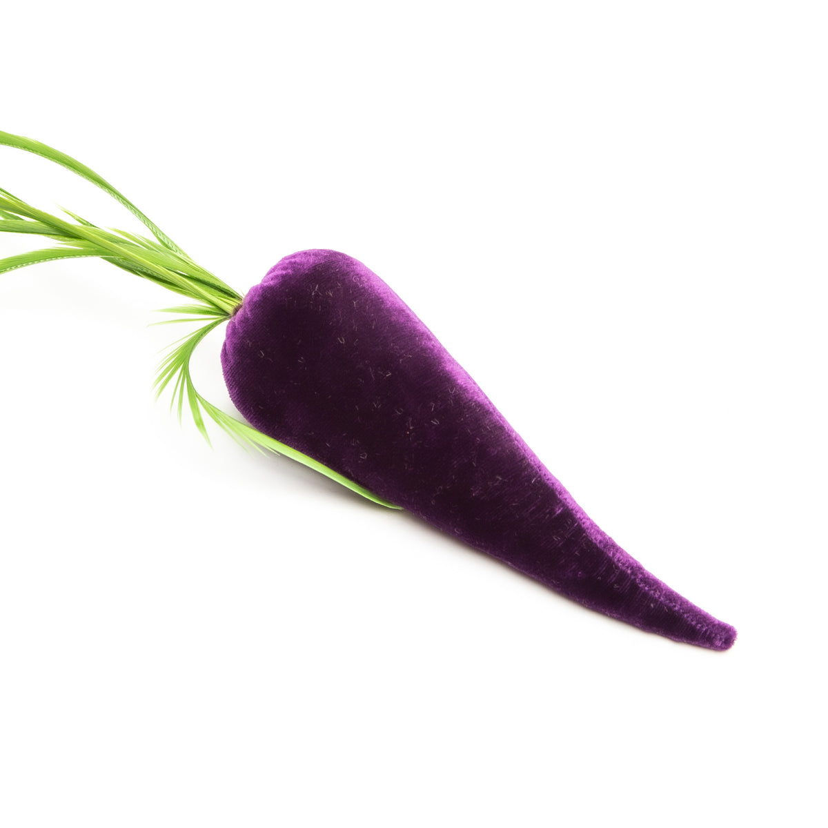 Carrot - Violet