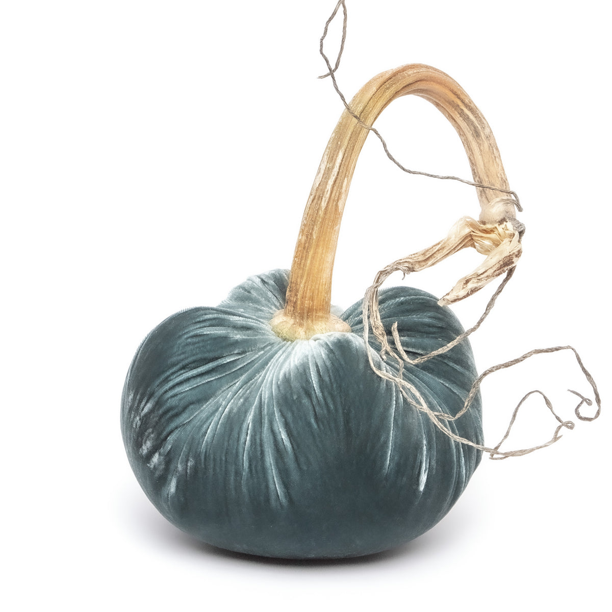 Wedgewood Silk Velvet Pumpkin