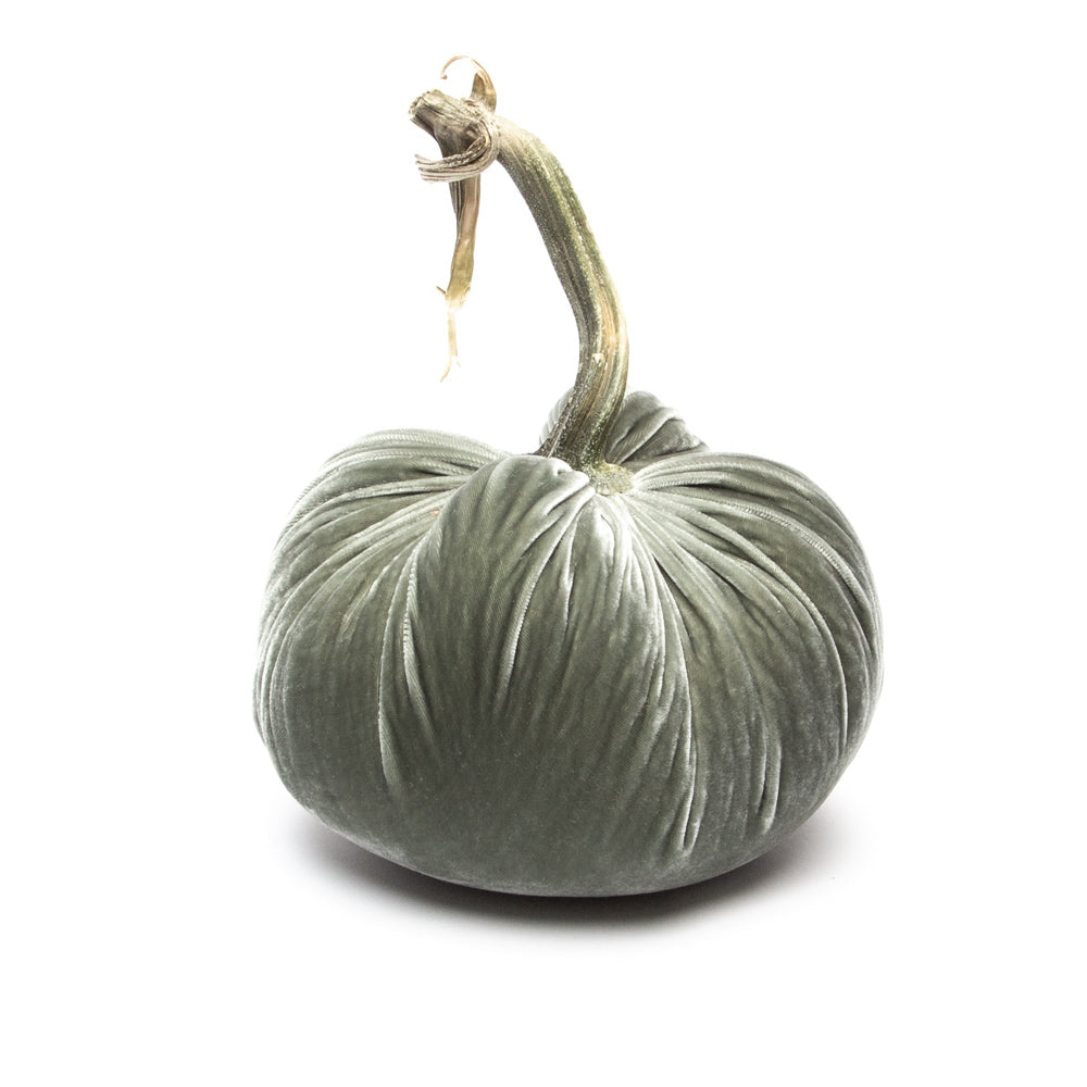 NEW! Willow Silk Velvet Pumpkin