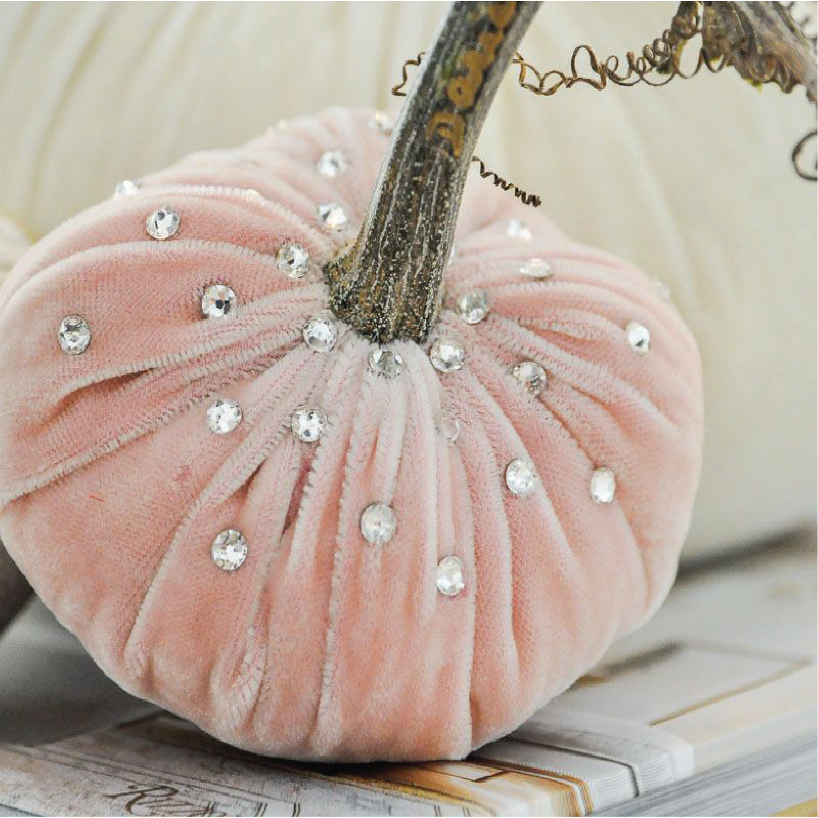 Handmade Velvet Pumpkins with Real Stems | Hot Skwash
