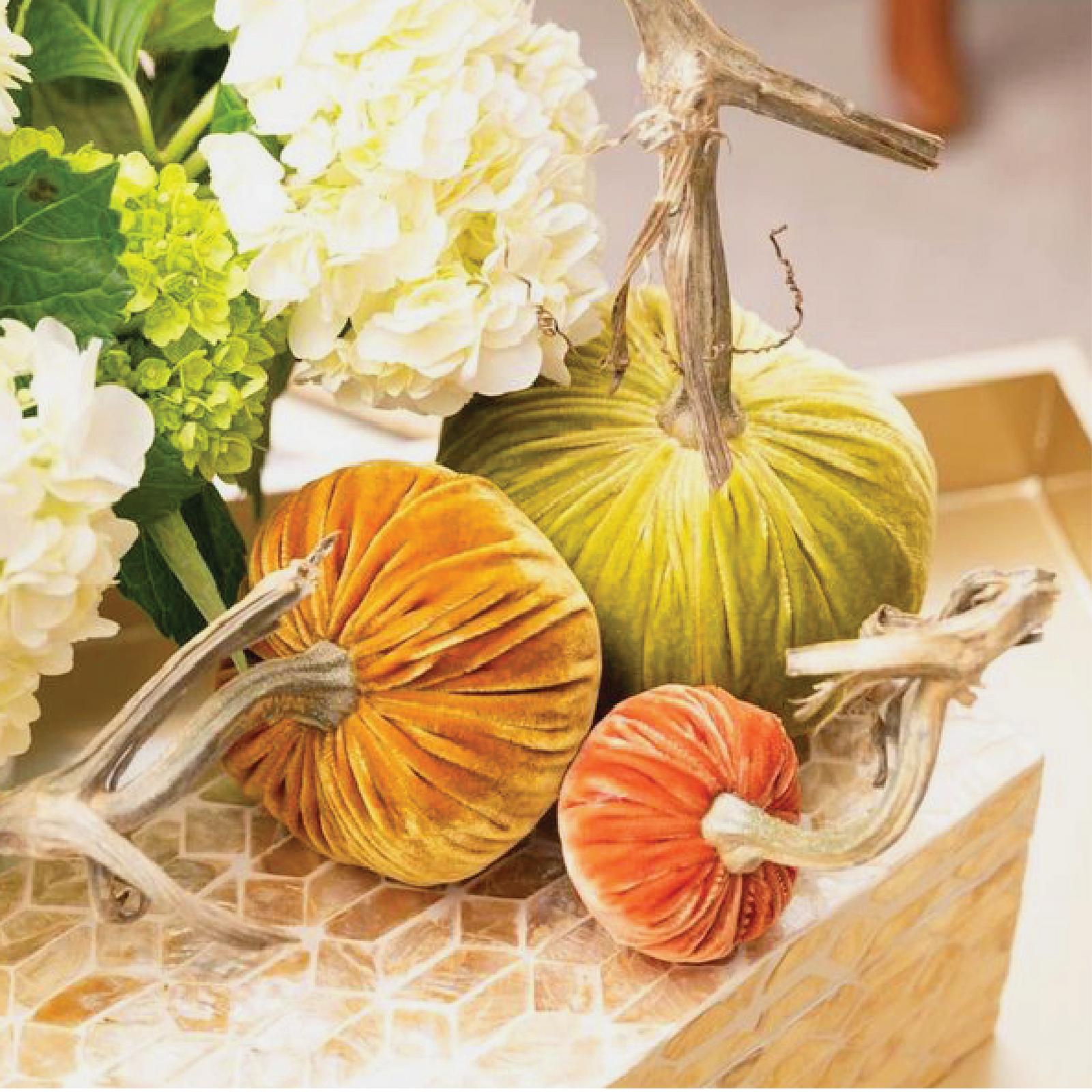 Handmade Velvet Pumpkins with Real Stems | Hot Skwash