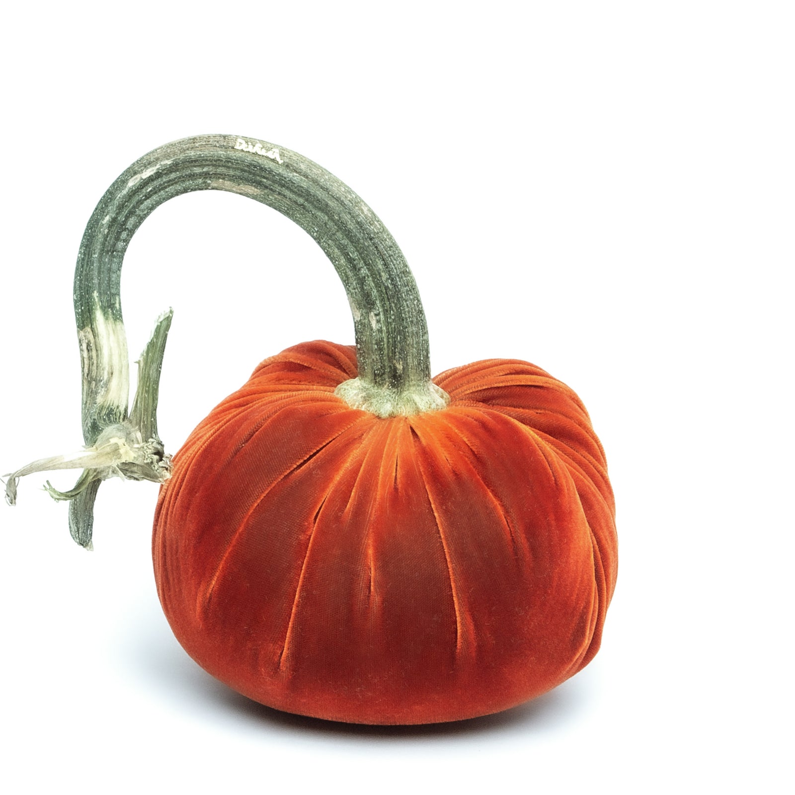 【WOOHWA】PUMKIN MINI SK Amazon.com : Jack Be Little Pumpkin Unique Mini Heirloom