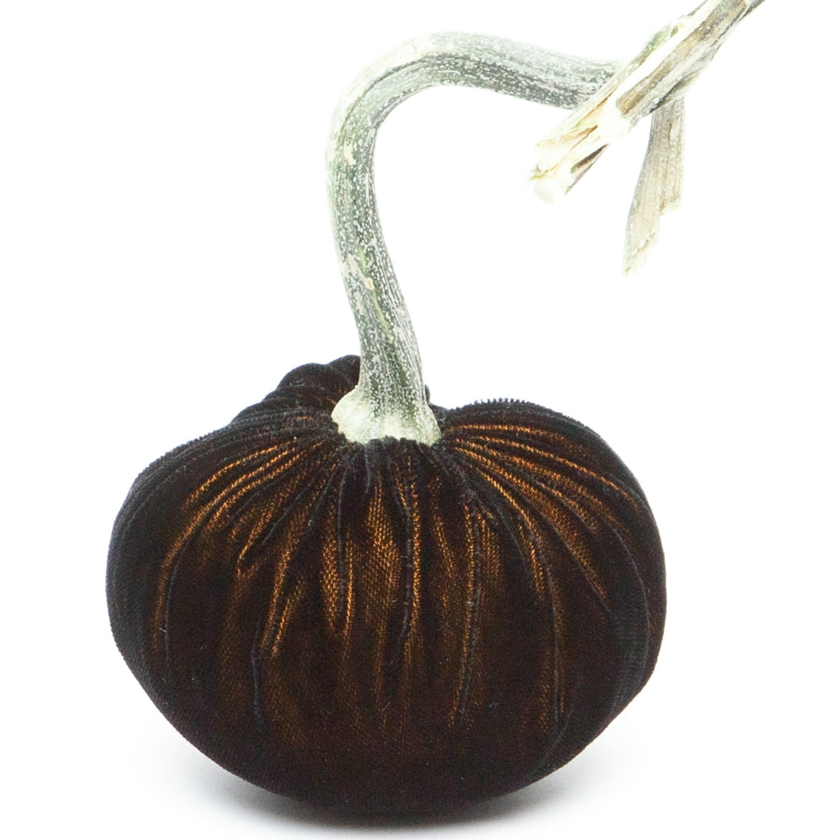 Black Gold Silk Velvet Pumpkin