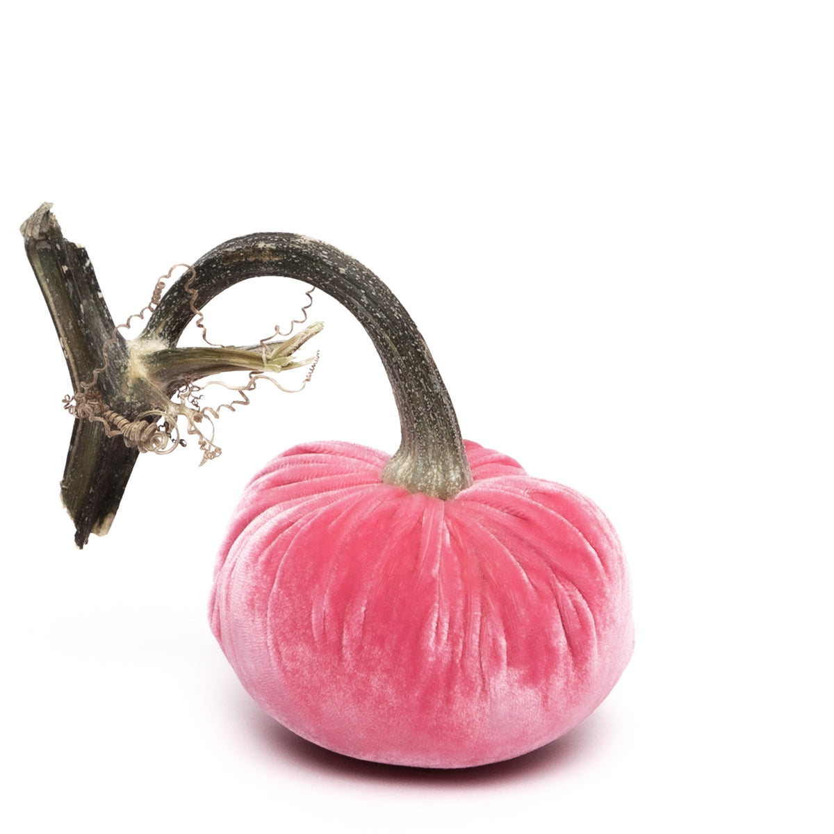 Bubblegum Silk Velvet Pumpkin