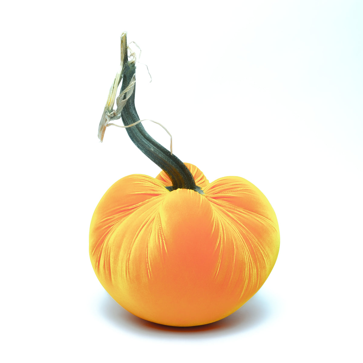 Carrot Silk Velvet Pumpkin