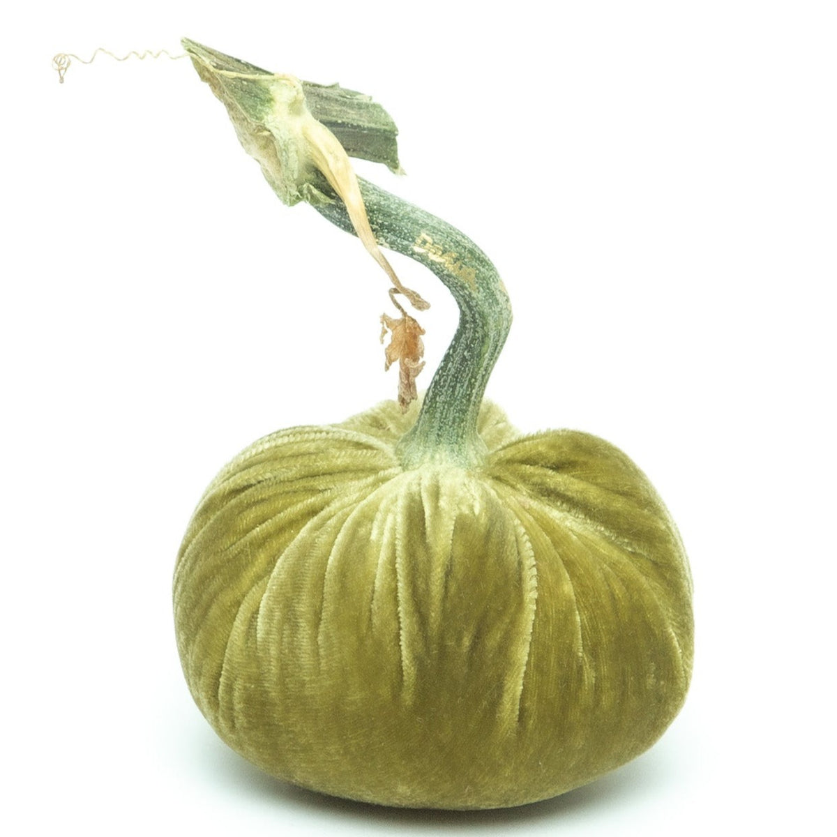 Celery Silk Velvet Pumpkin