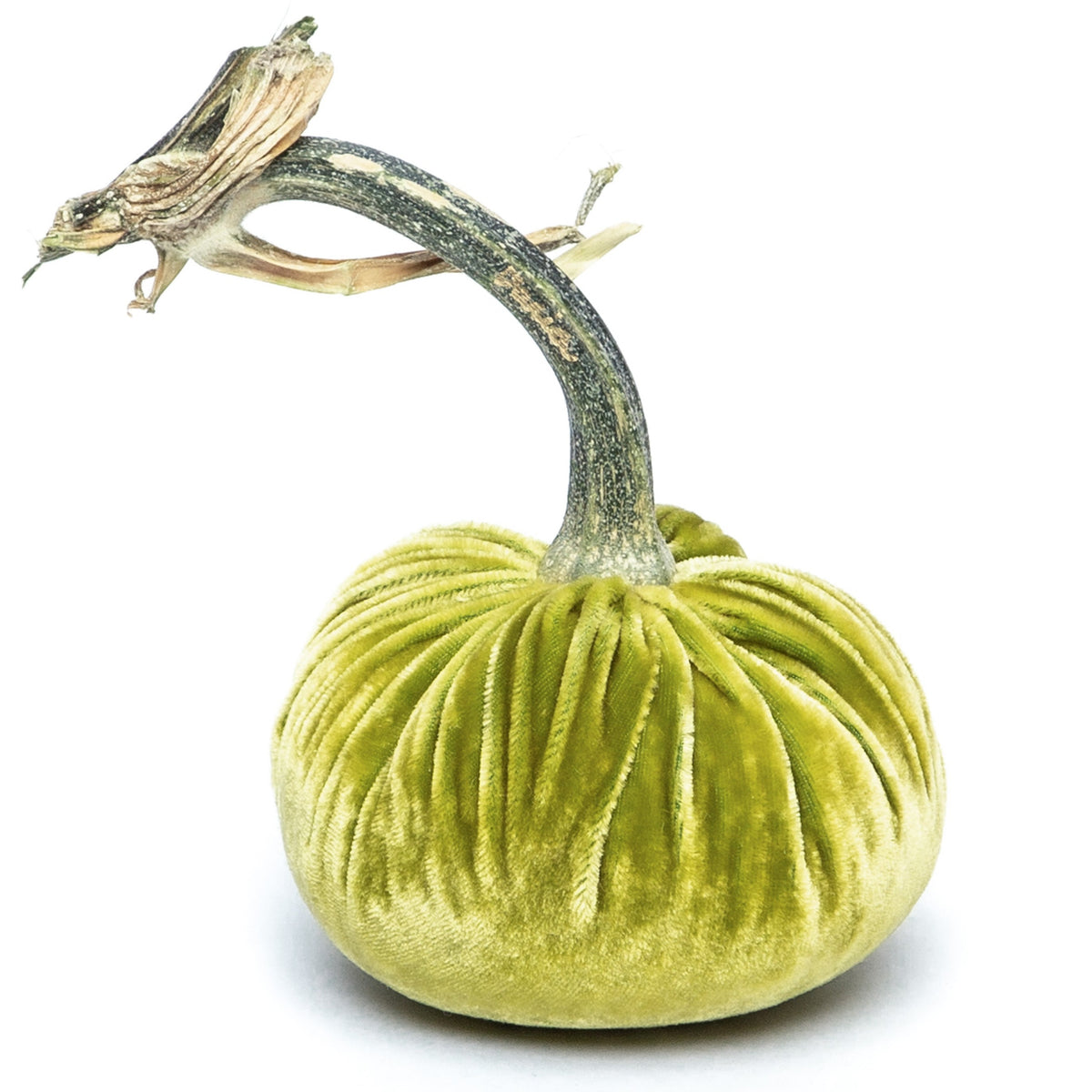 Chartreuse Silk Velvet Pumpkin