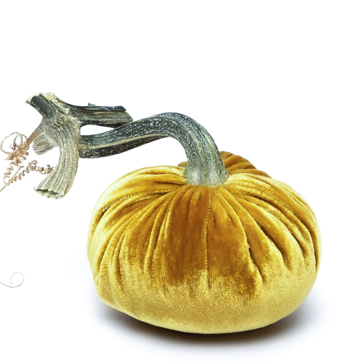 Gold Silk Velvet Pumpkin