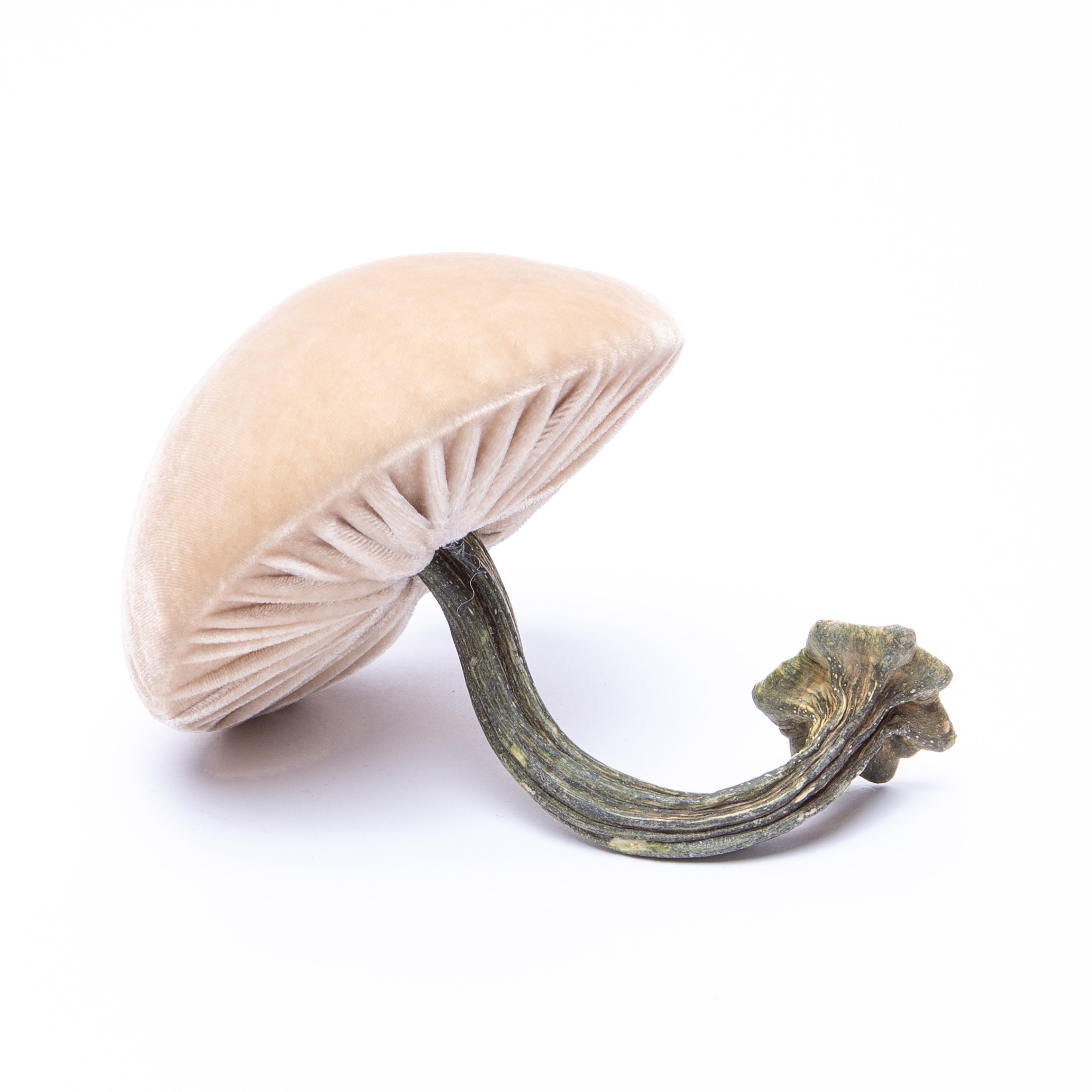 SF Medium Peeled Straw Mushroom