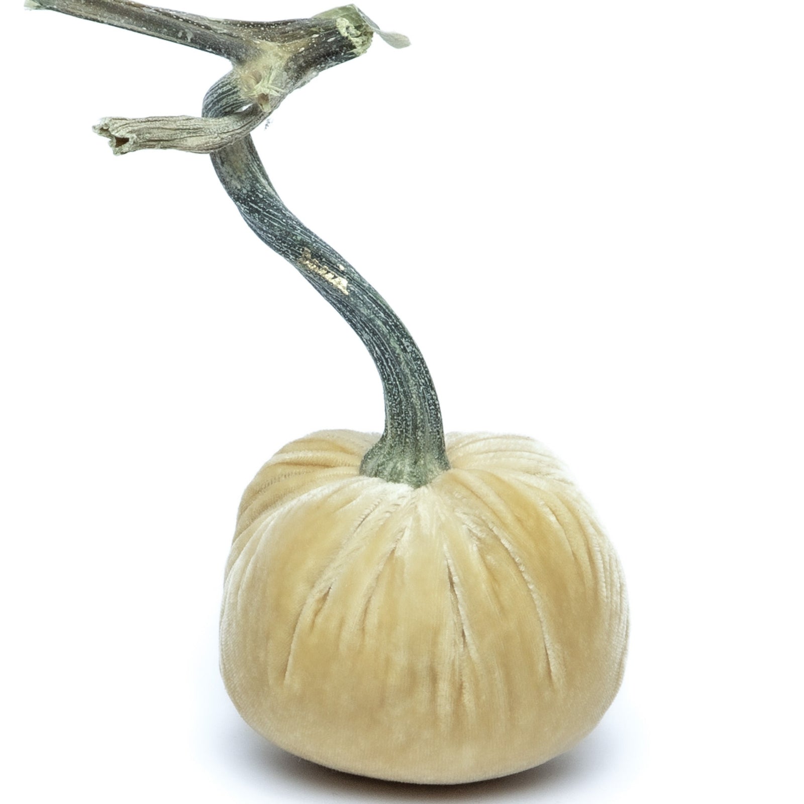 Handmade Silk Velvet Pumpkins - Real Stems | Hot Skwash