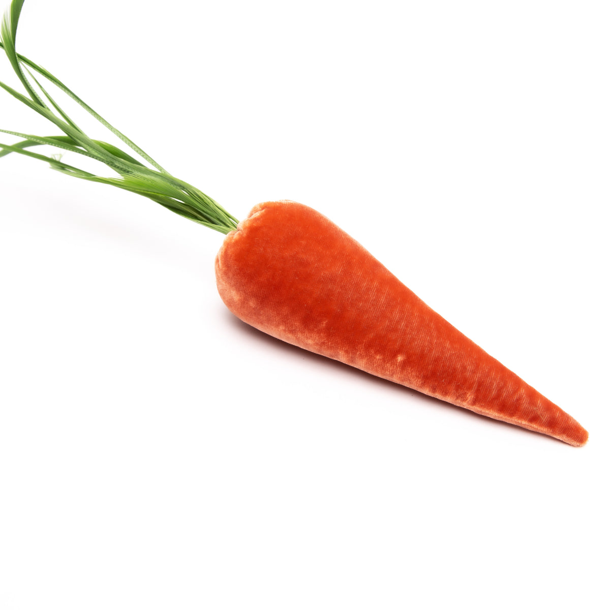 Carrot- Salmon