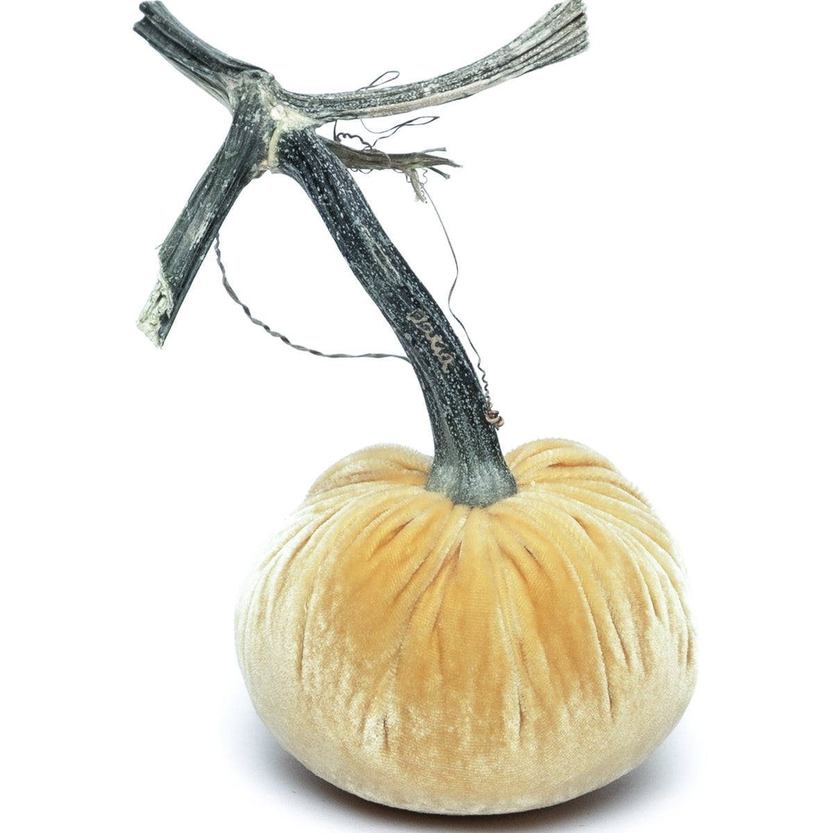 Maize Silk Velvet Pumpkin