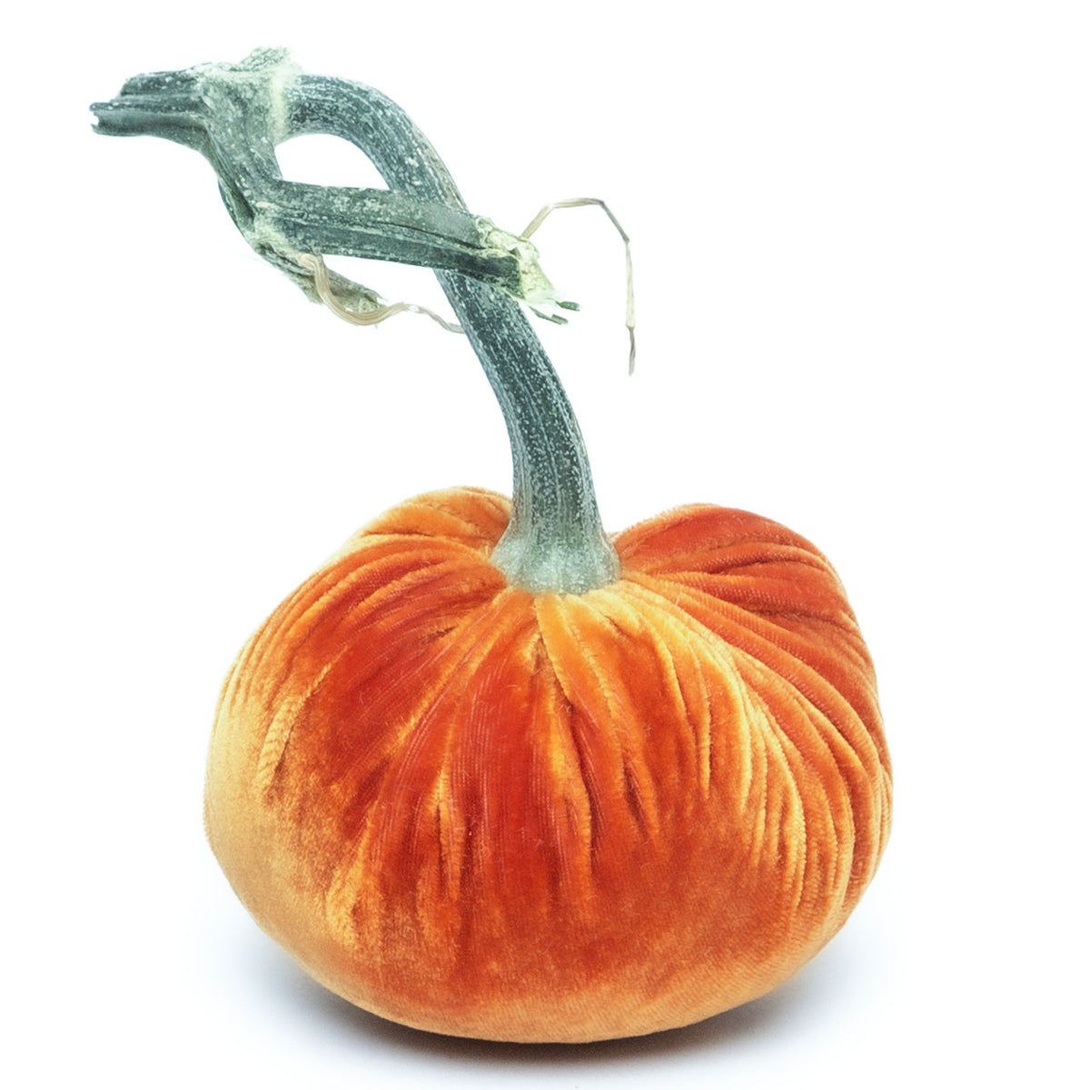 Persimmon Silk Velvet Pumpkin