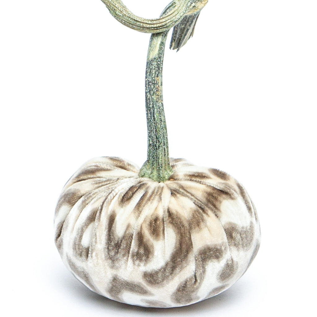 pumpkin様 Hot Skwash | Silk Velvet Pumpkins - Snow Leopard - hotskwash
